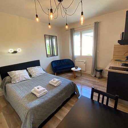 Au 3 Rue Manhes Lägenhet Albi Exteriör bild