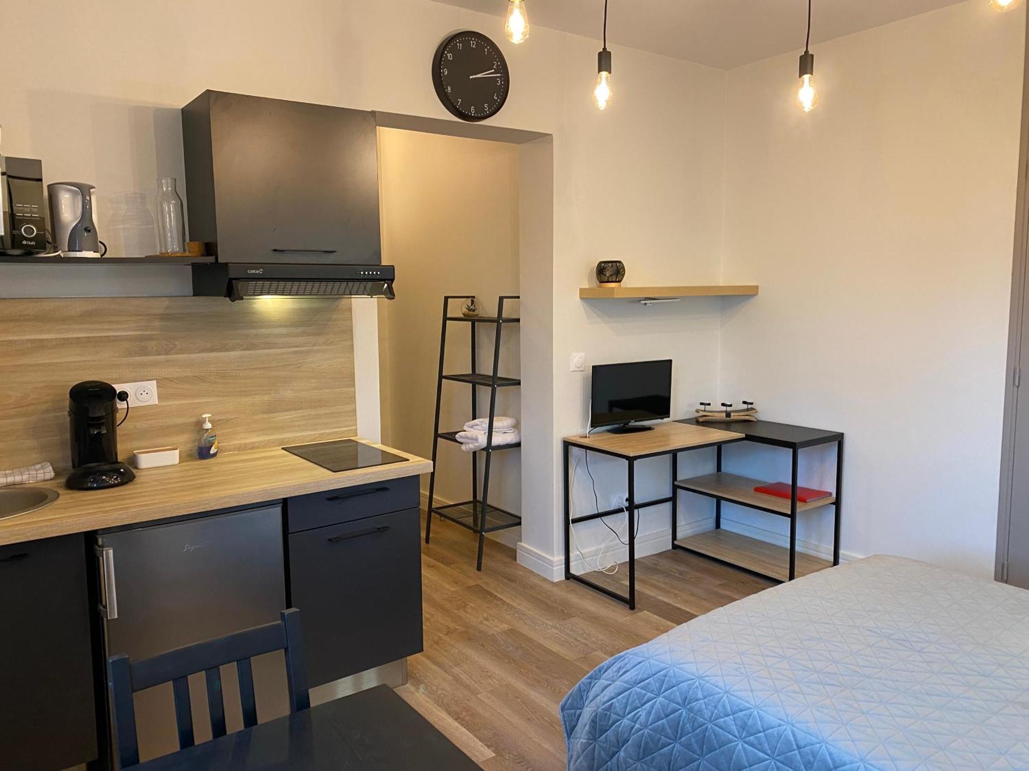 Au 3 Rue Manhes Lägenhet Albi Exteriör bild