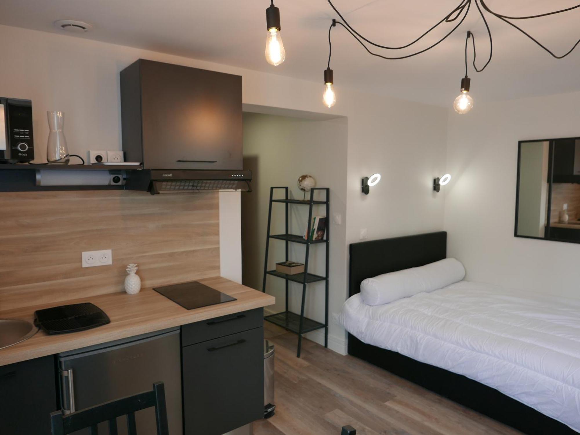 Au 3 Rue Manhes Lägenhet Albi Exteriör bild